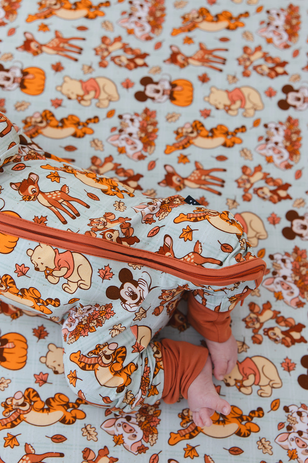Autumn Adventures - Zippy