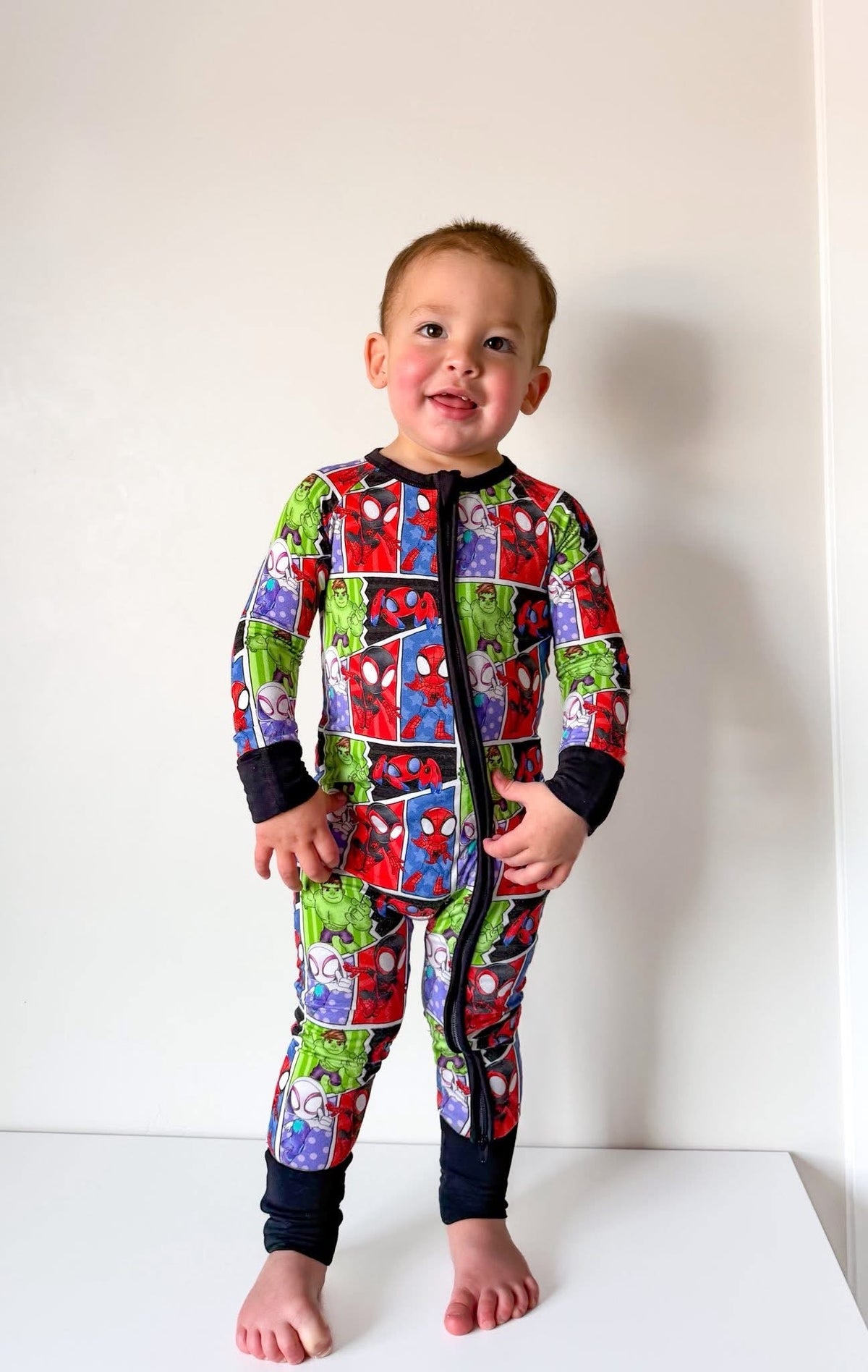 Web Heroes: Zippy
